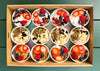 Health pots (v)